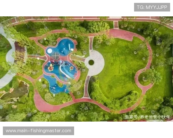 老年赛事管理专业化，规则与设施适老化